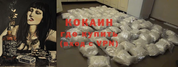 прущие грибы Карталы