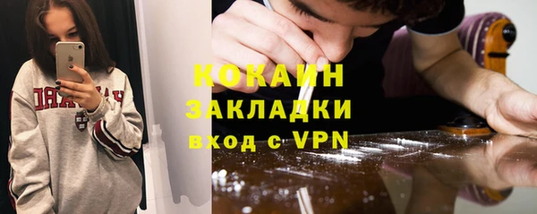 прущие грибы Карталы