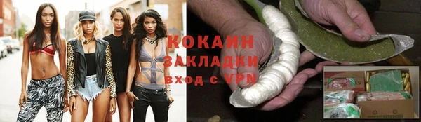 прущие грибы Карталы