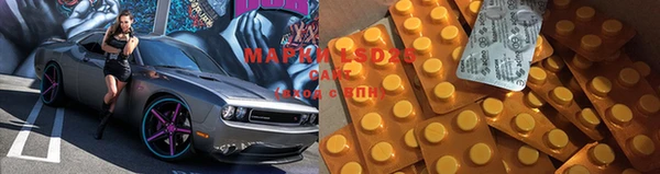 прущие грибы Карталы