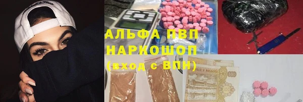 прущие грибы Карталы