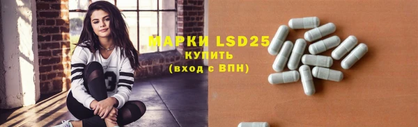 прущие грибы Карталы