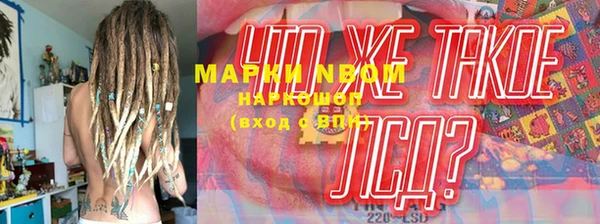 прущие грибы Карталы