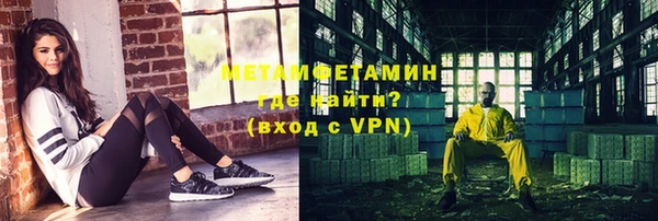 прущие грибы Карталы