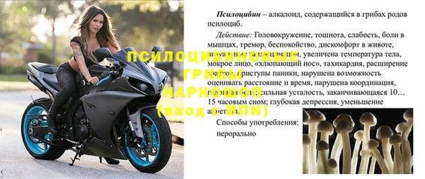 прущие грибы Карталы