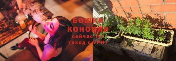 твердый Карпинск