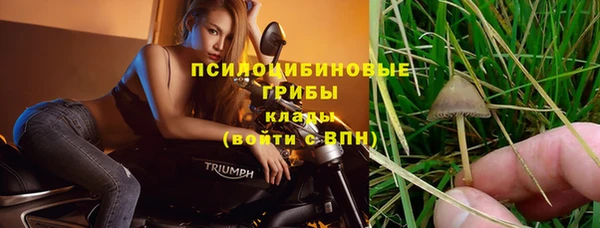 прущие грибы Карталы