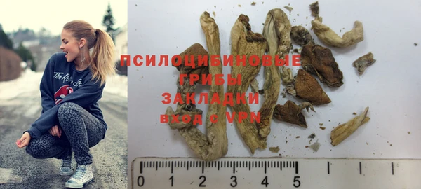 твердый Карпинск